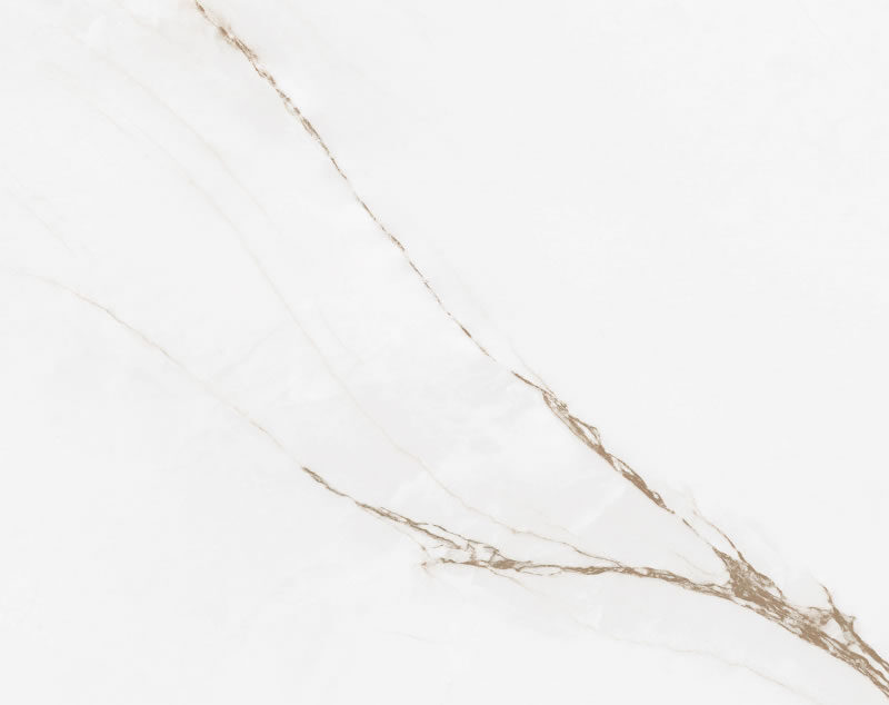 elizabeth-branco-parana-esm-pol-49x99cm-03