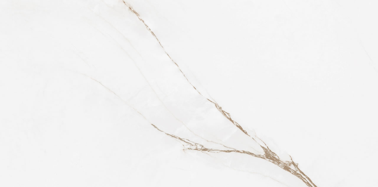 ELIZABETH BRANCO PARANÁ 60x120 - Imagem 2