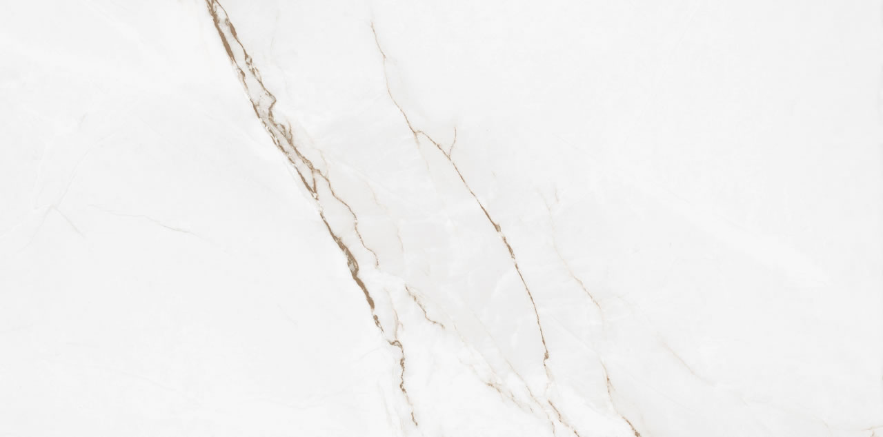 ELIZABETH BRANCO PARANÁ 60x120 - Imagem 3