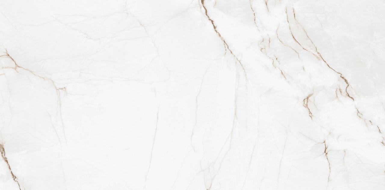 ELIZABETH BRANCO PARANÁ 60x120 - Imagem 4