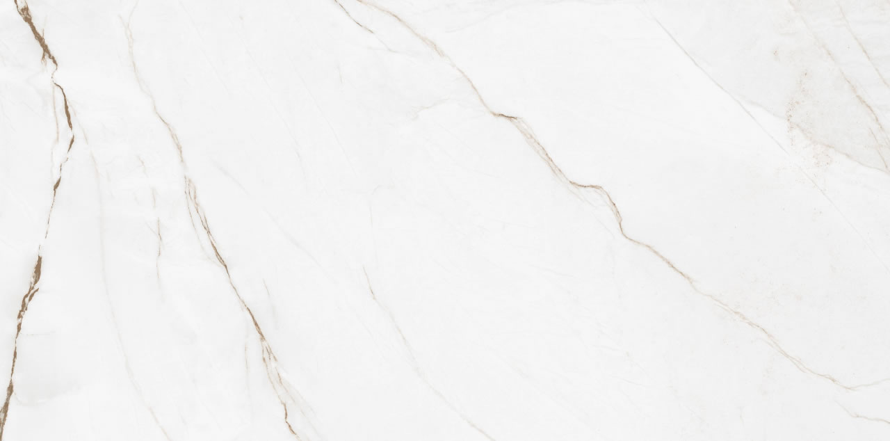 ELIZABETH BRANCO PARANÁ 60x120 - Imagem 8