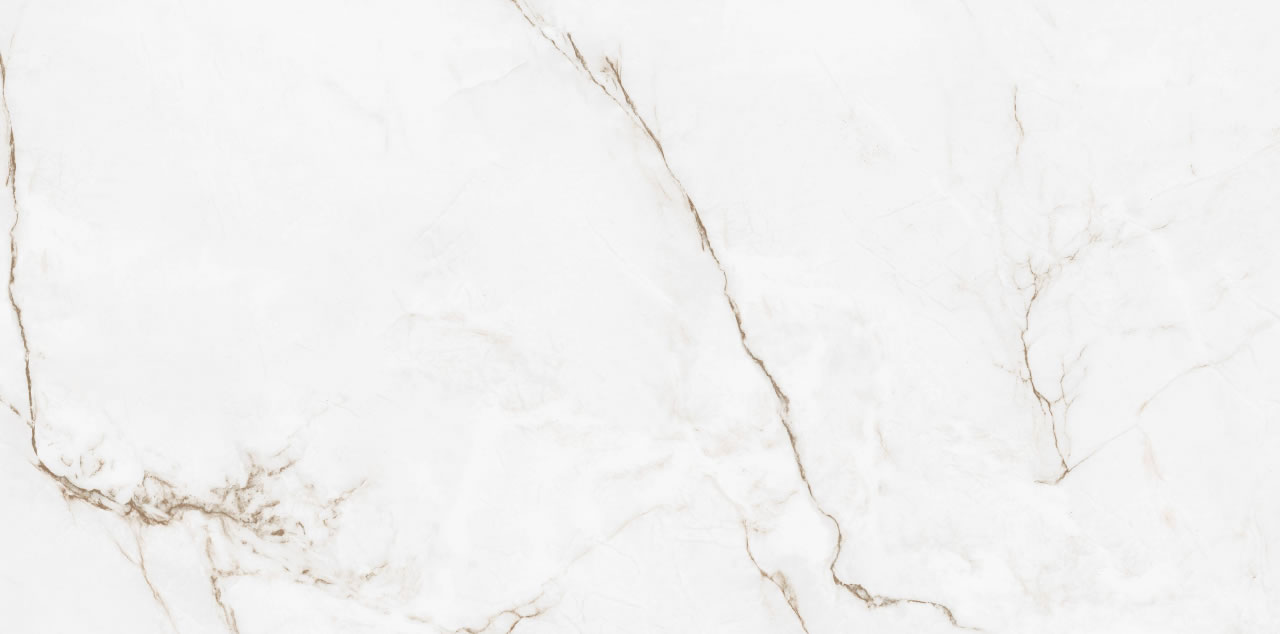 ELIZABETH BRANCO PARANÁ 60x120 - Imagem 9